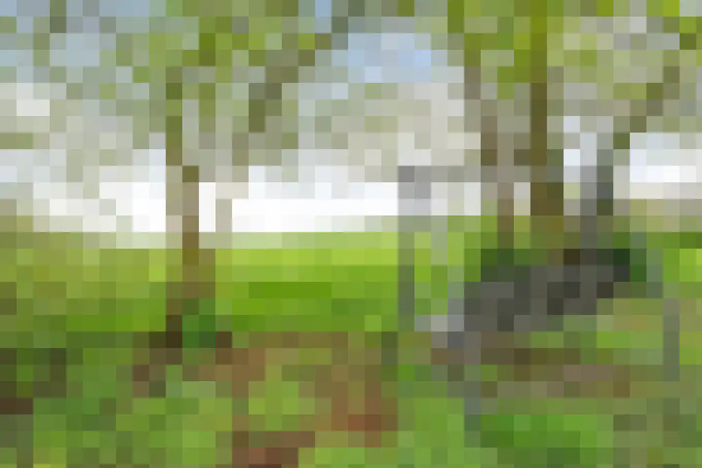 Hoofdweg 52 De Krim thumbnail 52
