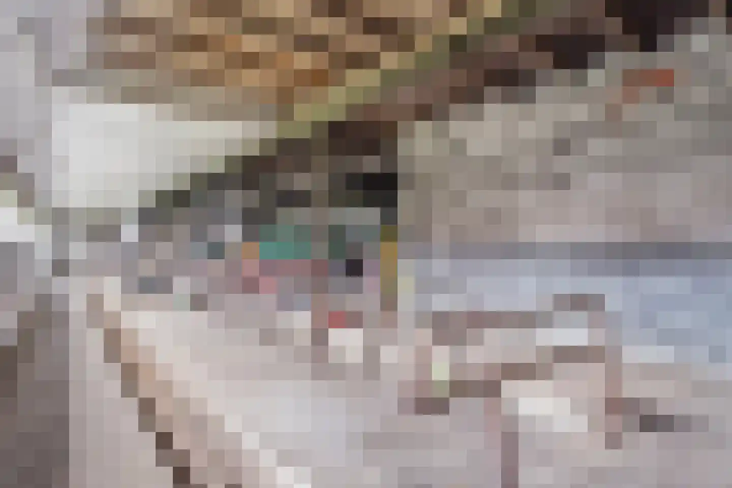 Hoofdweg 52 De Krim thumbnail 58