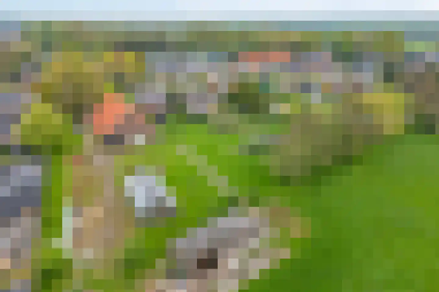 Hoofdweg 52 De Krim thumbnail 62