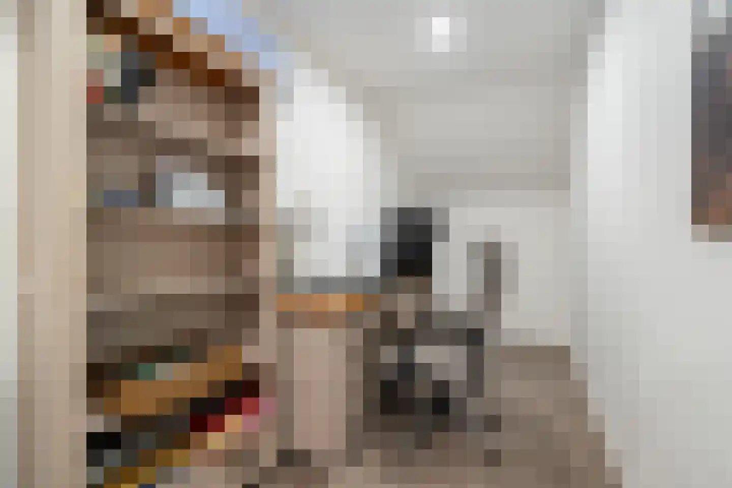 Hoofdweg 52 Kolham thumbnail 37