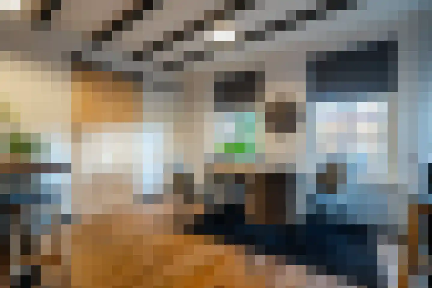 Hoofdweg 52 Kolham thumbnail 51