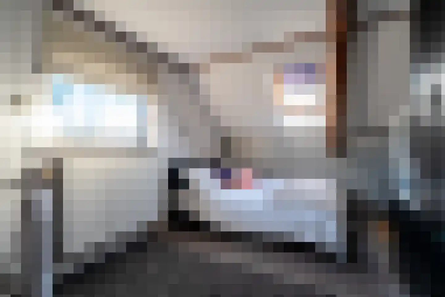 Hoofdweg 52 Kolham thumbnail 63