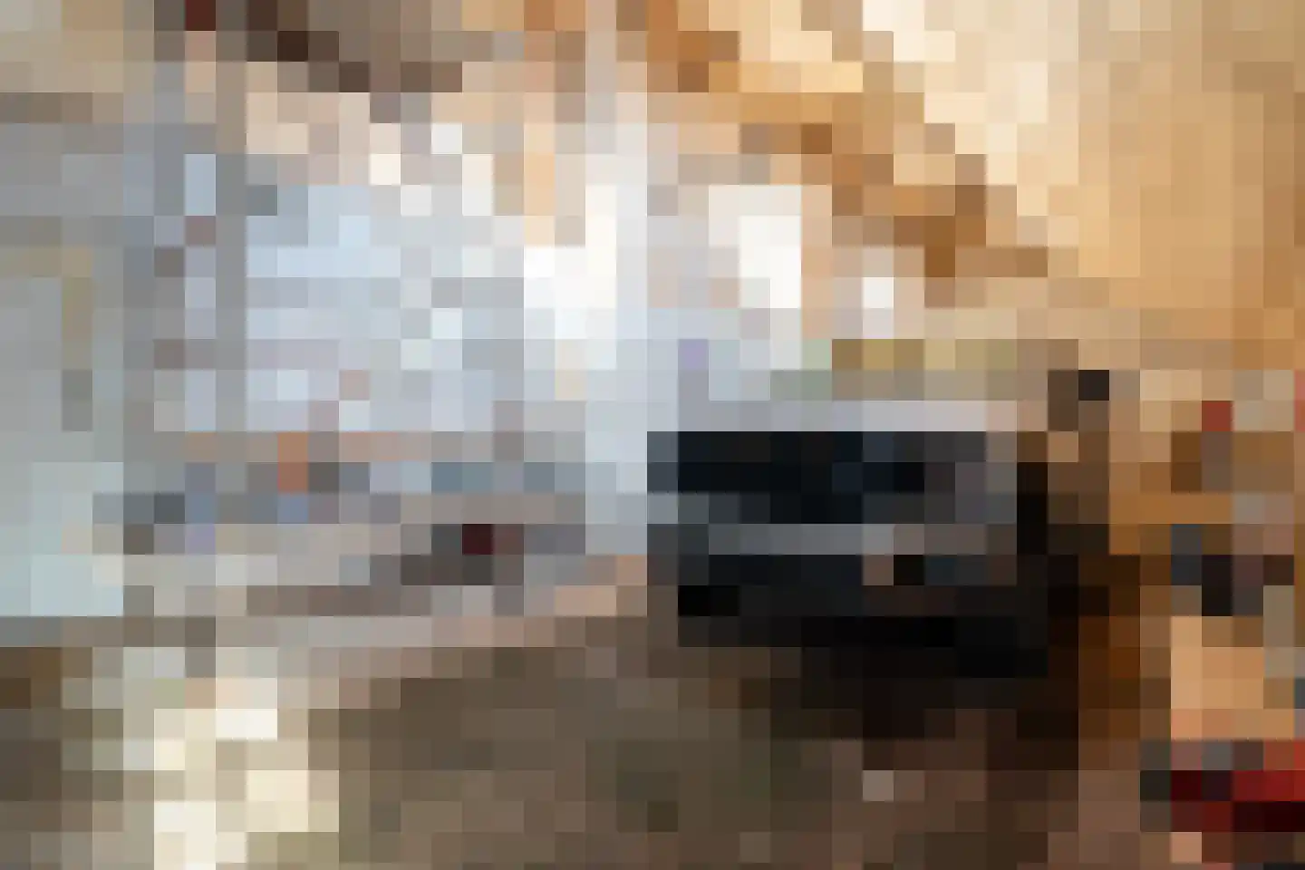 Hoofdweg 52 Kolham thumbnail 71