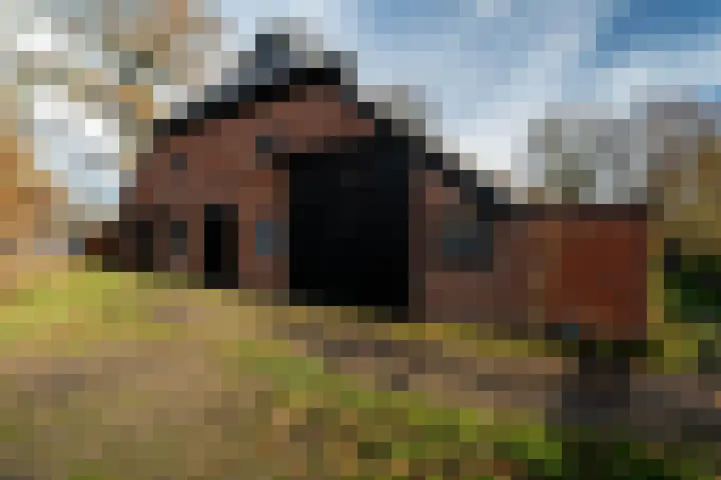 Hoofdweg 52 Kolham thumbnail 72