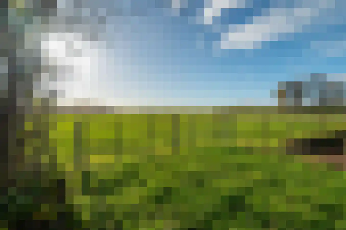 Hoofdweg 52 Kolham thumbnail 81