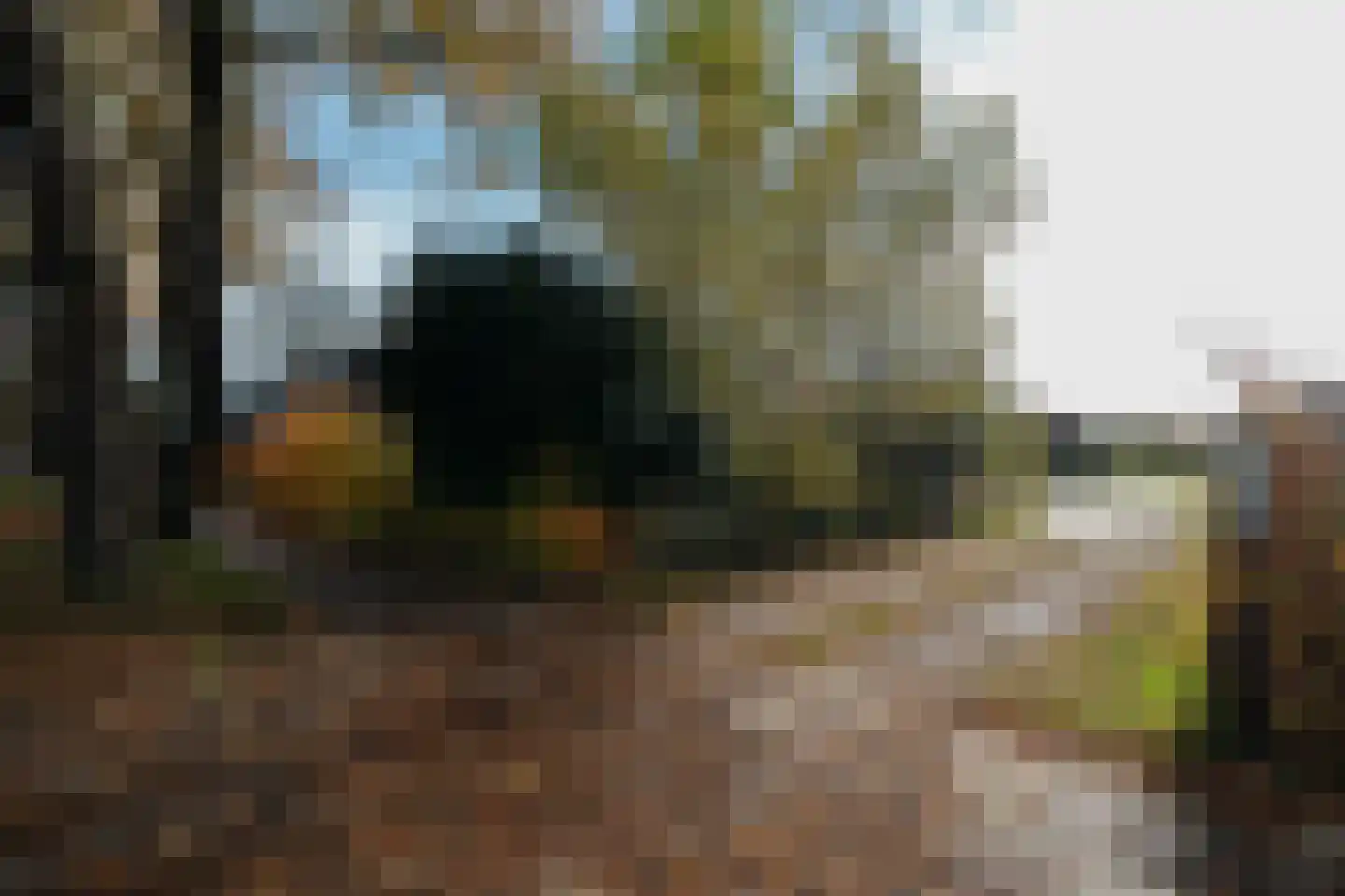 Hoofdweg 52 Kolham thumbnail 83