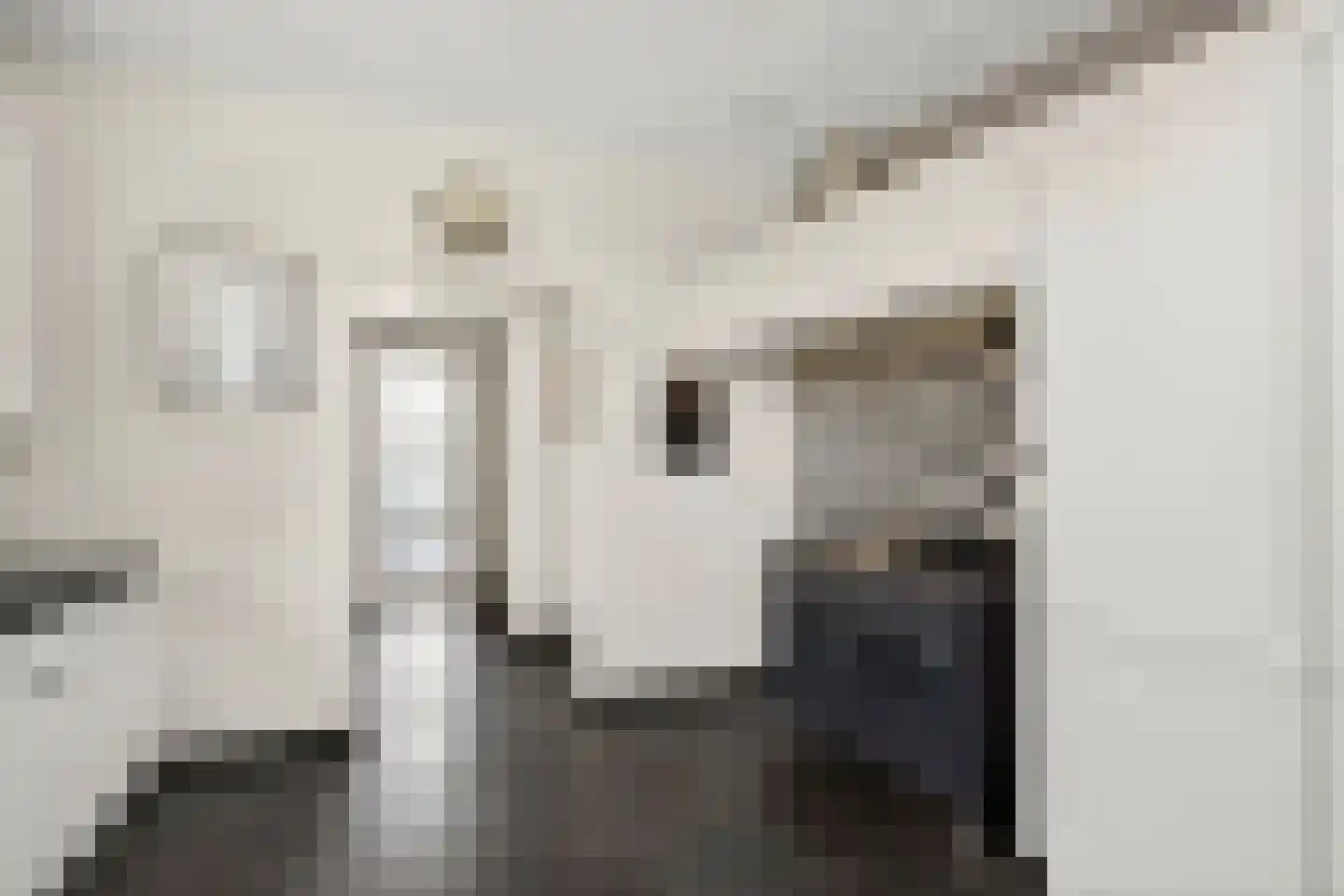 Hoofdweg 52 Loenen thumbnail 17