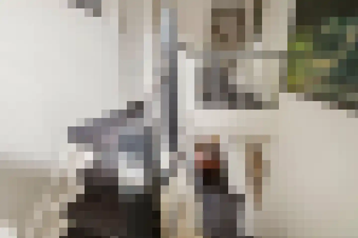 Hoofdweg 52 Loenen thumbnail 19