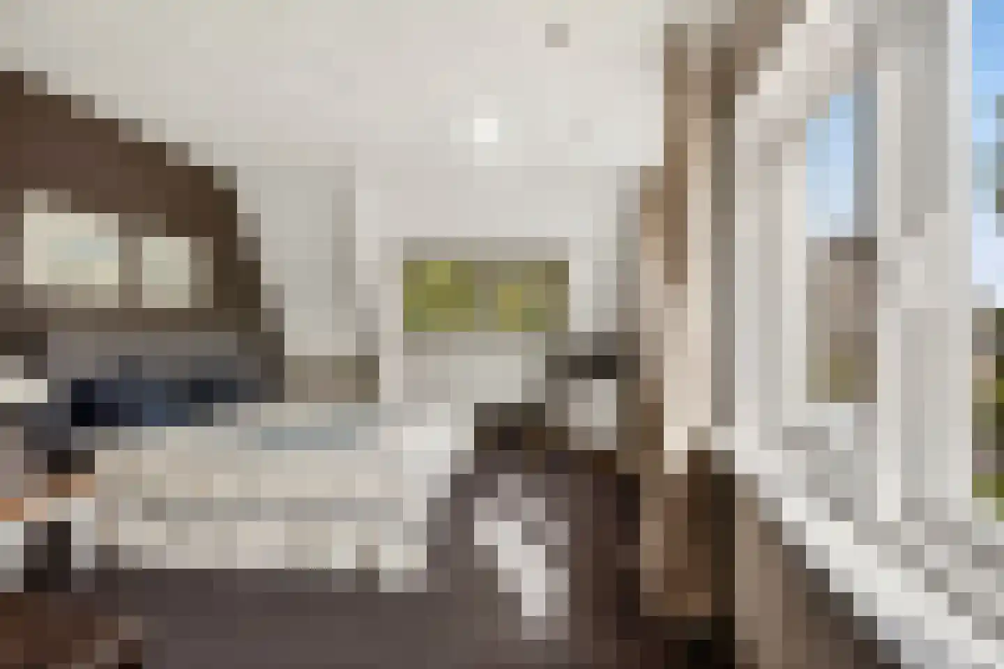 Hoofdweg 52 Loenen thumbnail 24