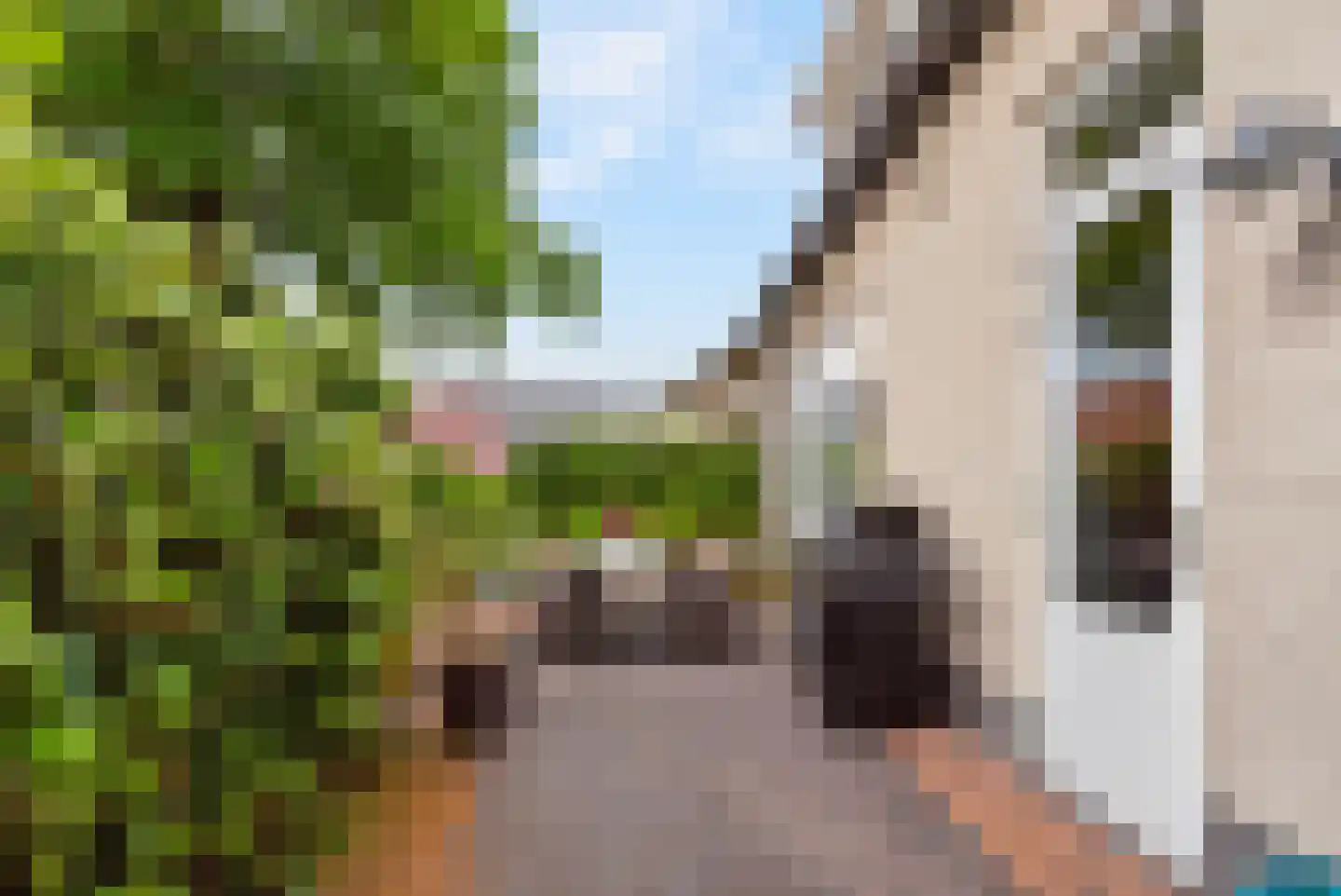 Hoofdweg 52 Loenen thumbnail 35