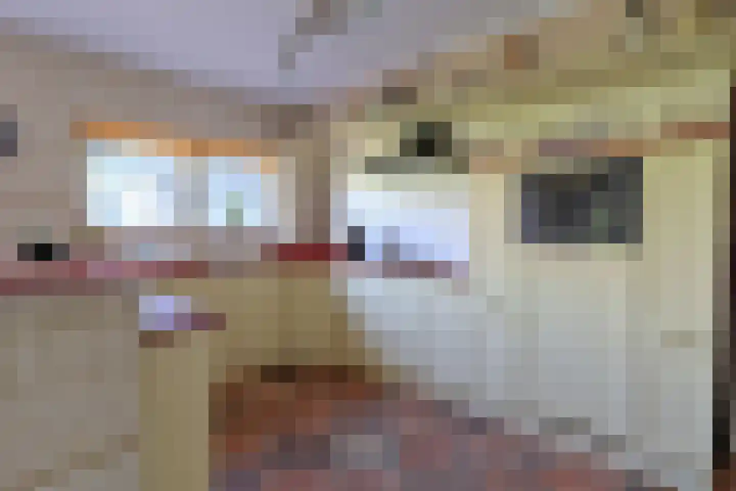 Hoofdweg 52 Nijensleek thumbnail 11