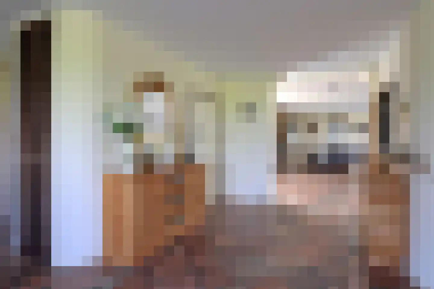 Hoofdweg 52 Nijensleek thumbnail 13