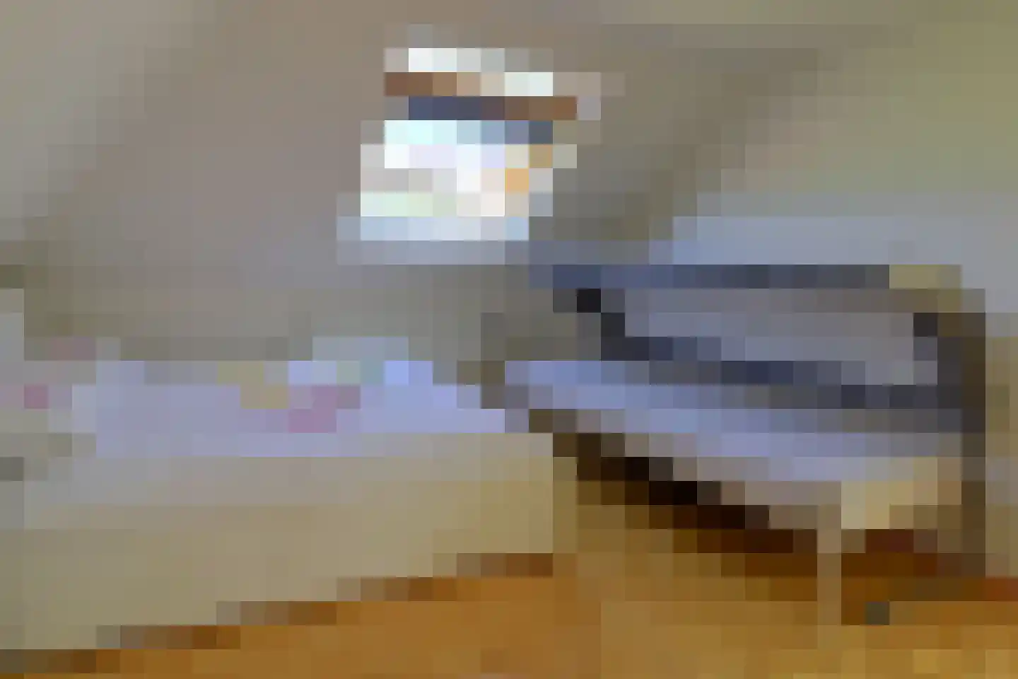 Hoofdweg 52 Nijensleek thumbnail 21