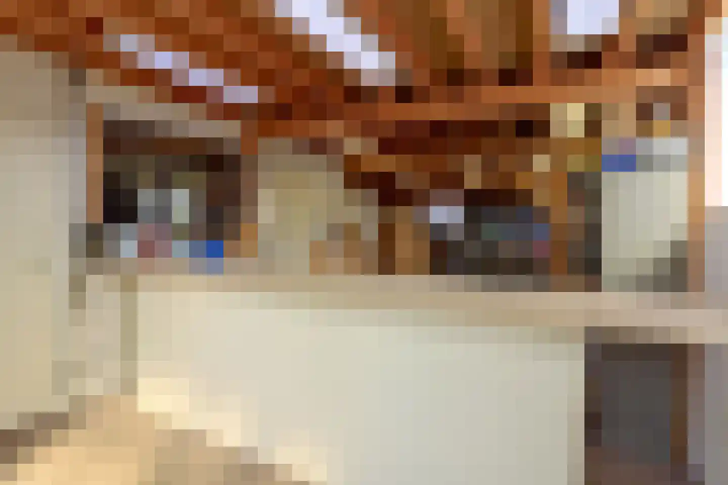 Hoofdweg 52 Nijensleek thumbnail 29