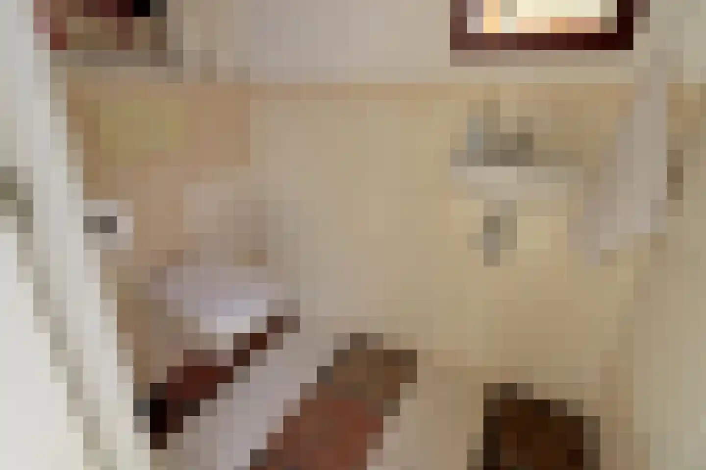 Hoofdweg 52 Nijensleek thumbnail 30