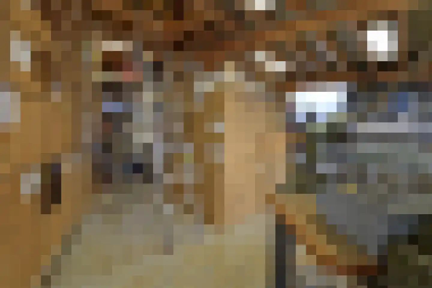 Hoofdweg 52 Nijensleek thumbnail 31