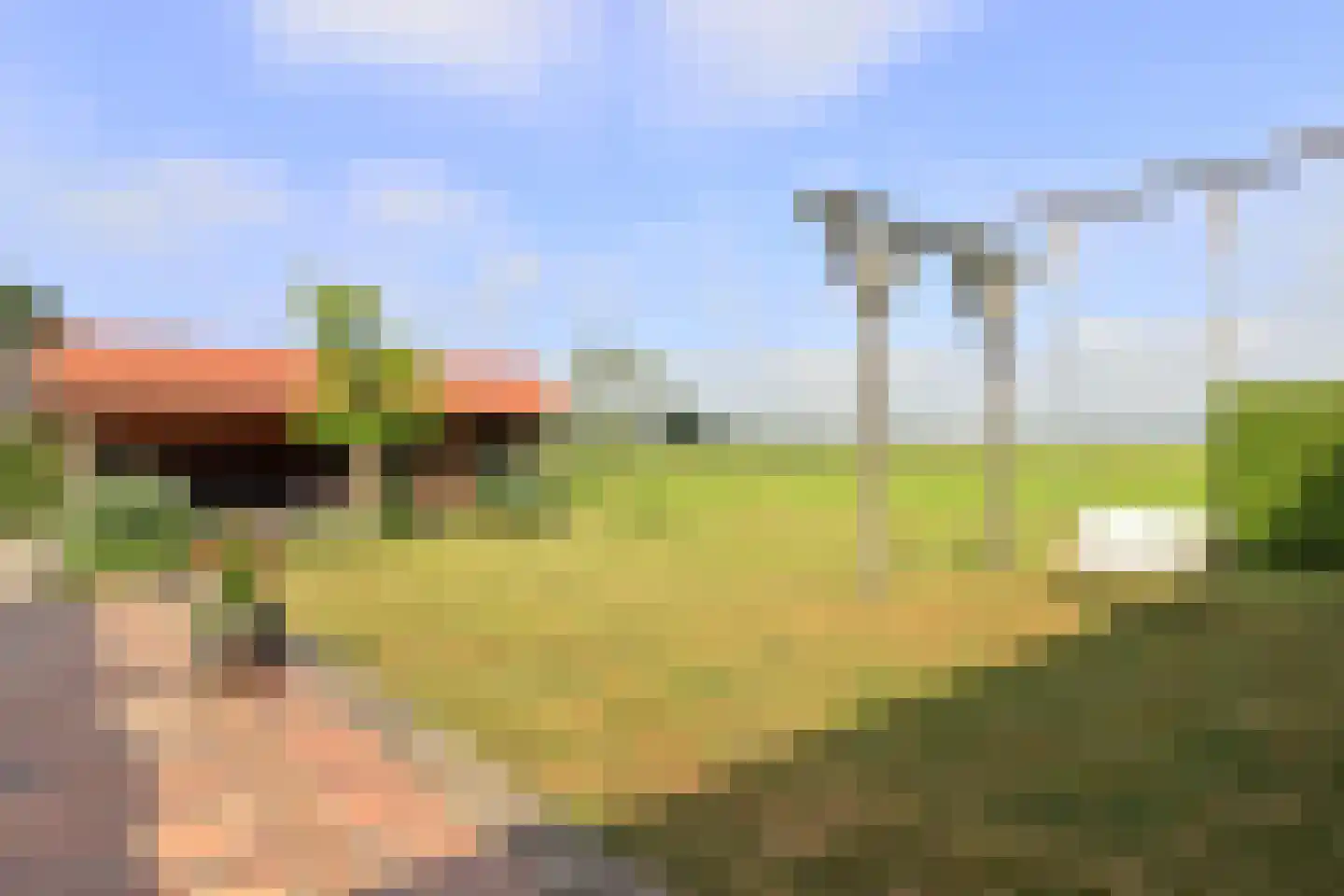 Hoofdweg 52 Nijensleek thumbnail 36