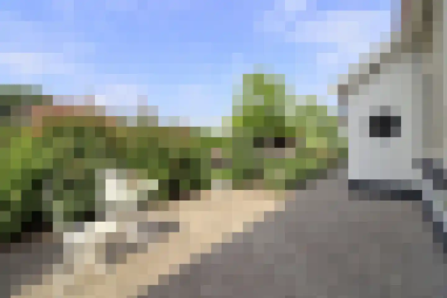 Hoofdweg 52 Nijensleek thumbnail 40