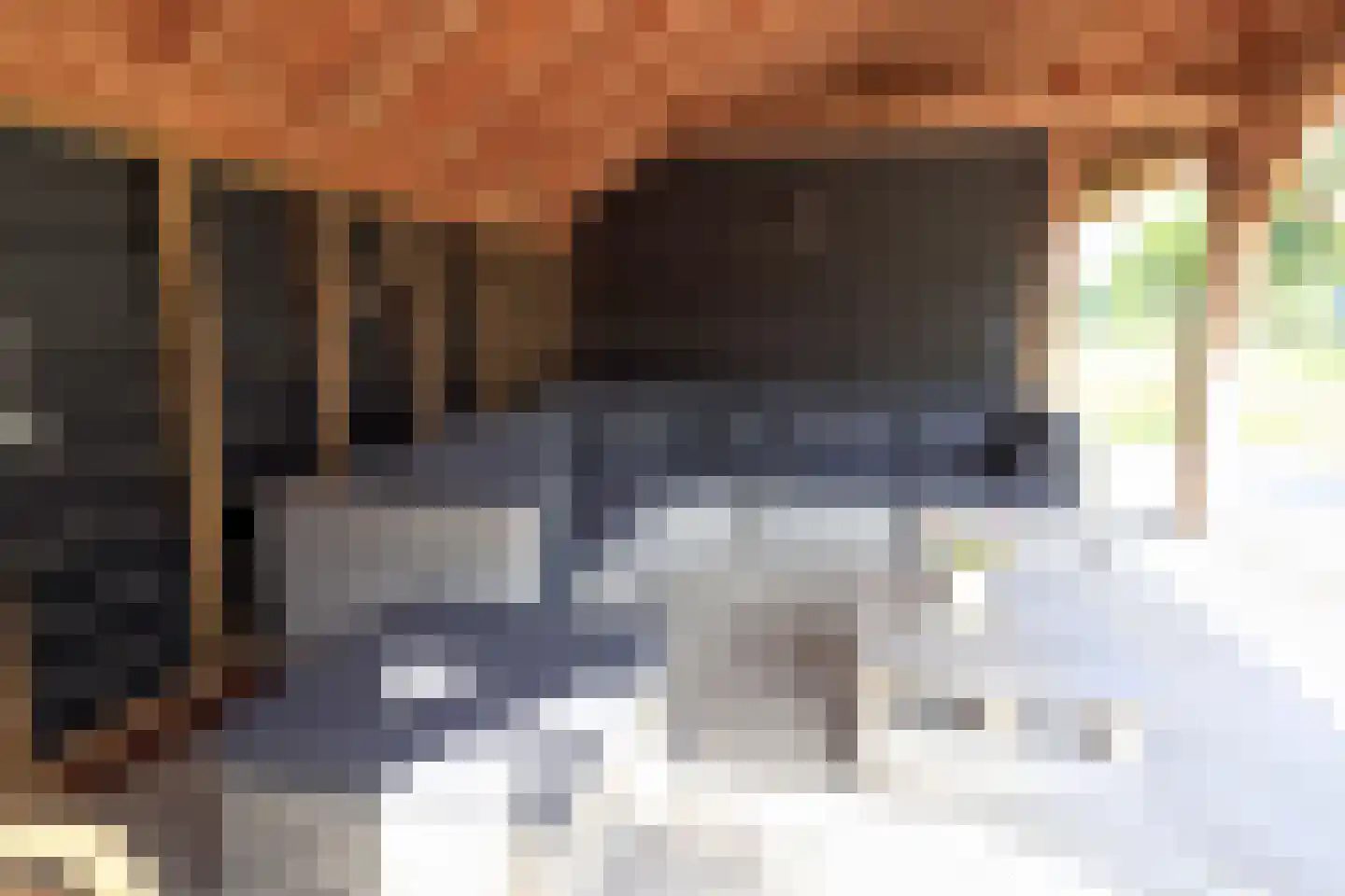 Hoofdweg 52 Nijensleek thumbnail 46