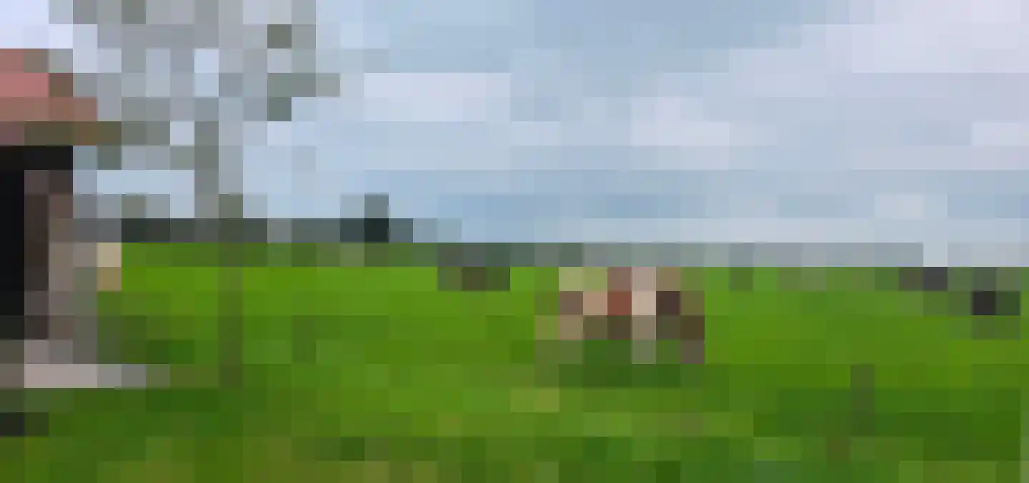 Hoofdweg 52 Nijensleek thumbnail 47