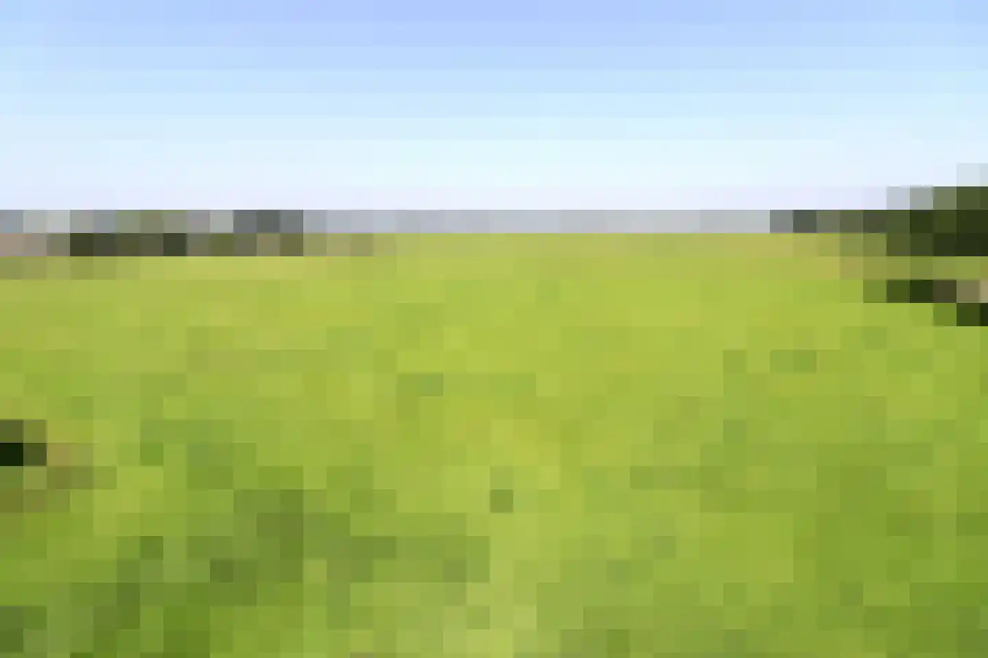 Hoofdweg 52 Nijensleek thumbnail 48