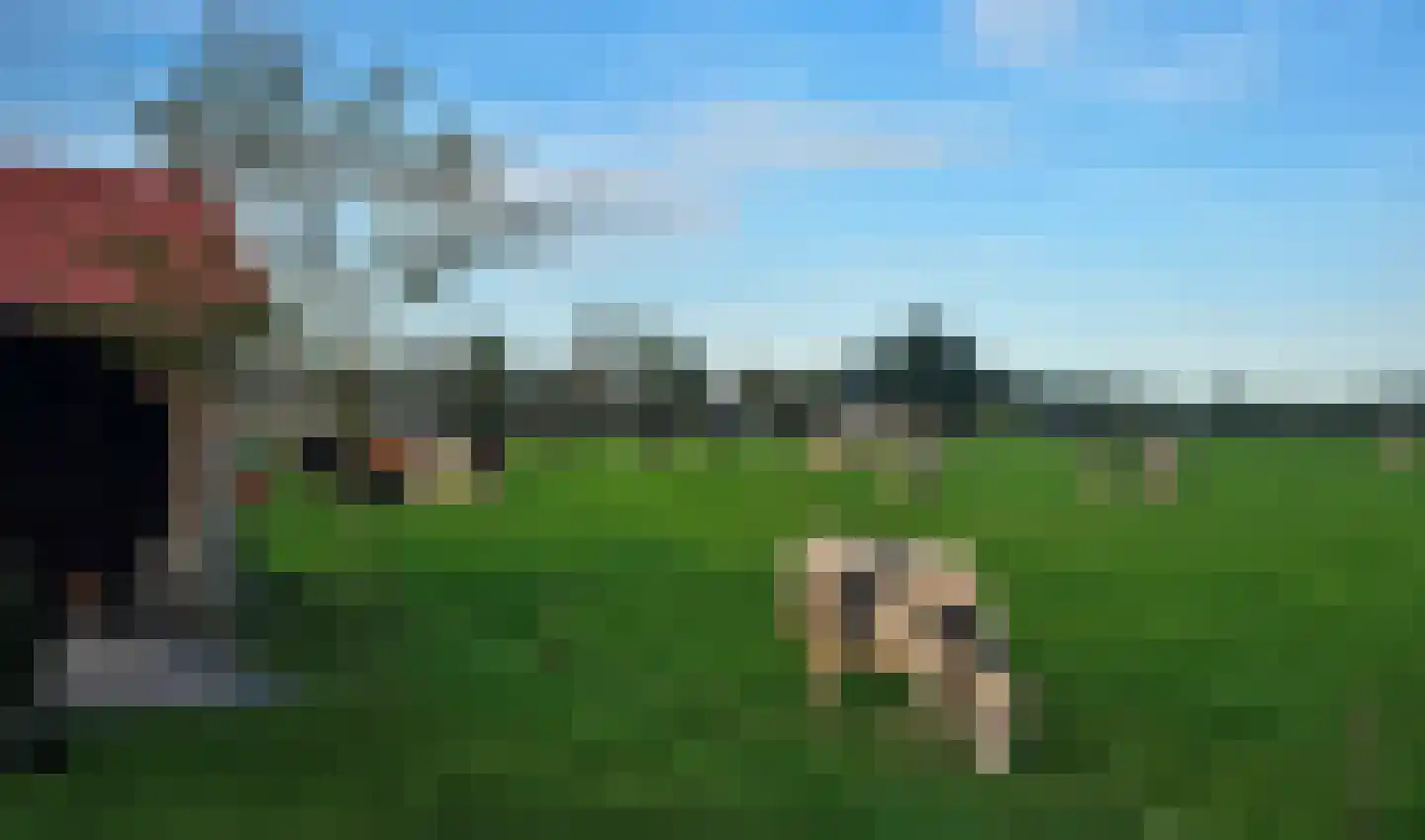Hoofdweg 52 Nijensleek thumbnail 48