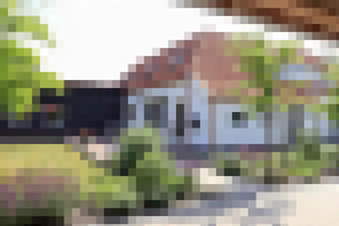 Hoofdweg 52 Nijensleek thumbnail 5