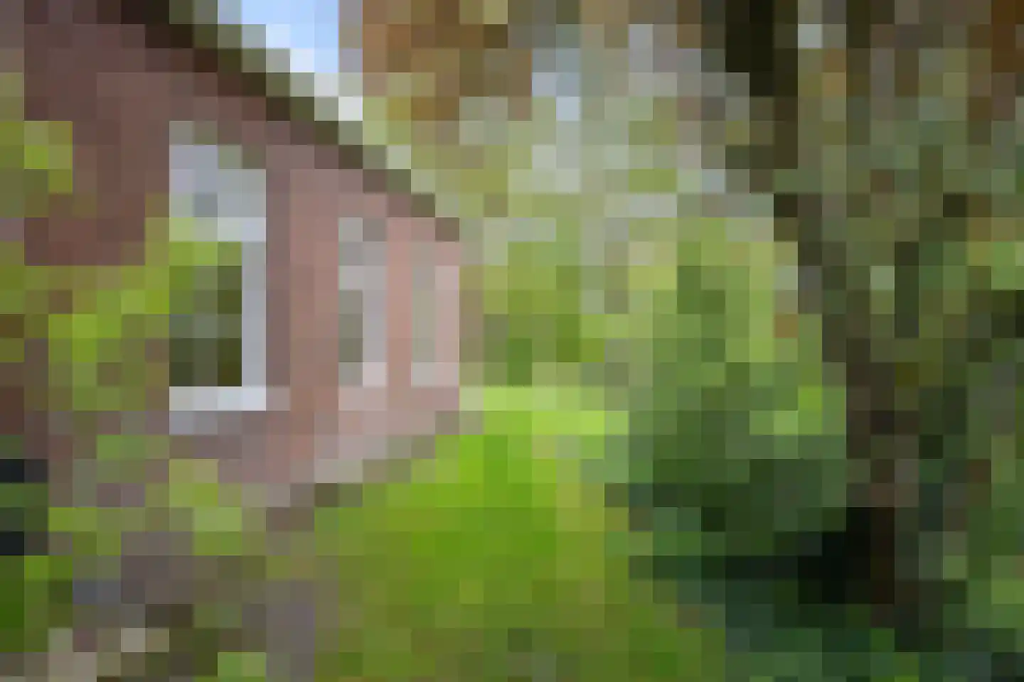 Hoofdweg 54 Hellum thumbnail 15