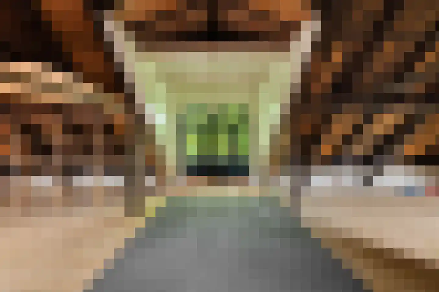 Hoofdweg 54 Hellum thumbnail 52