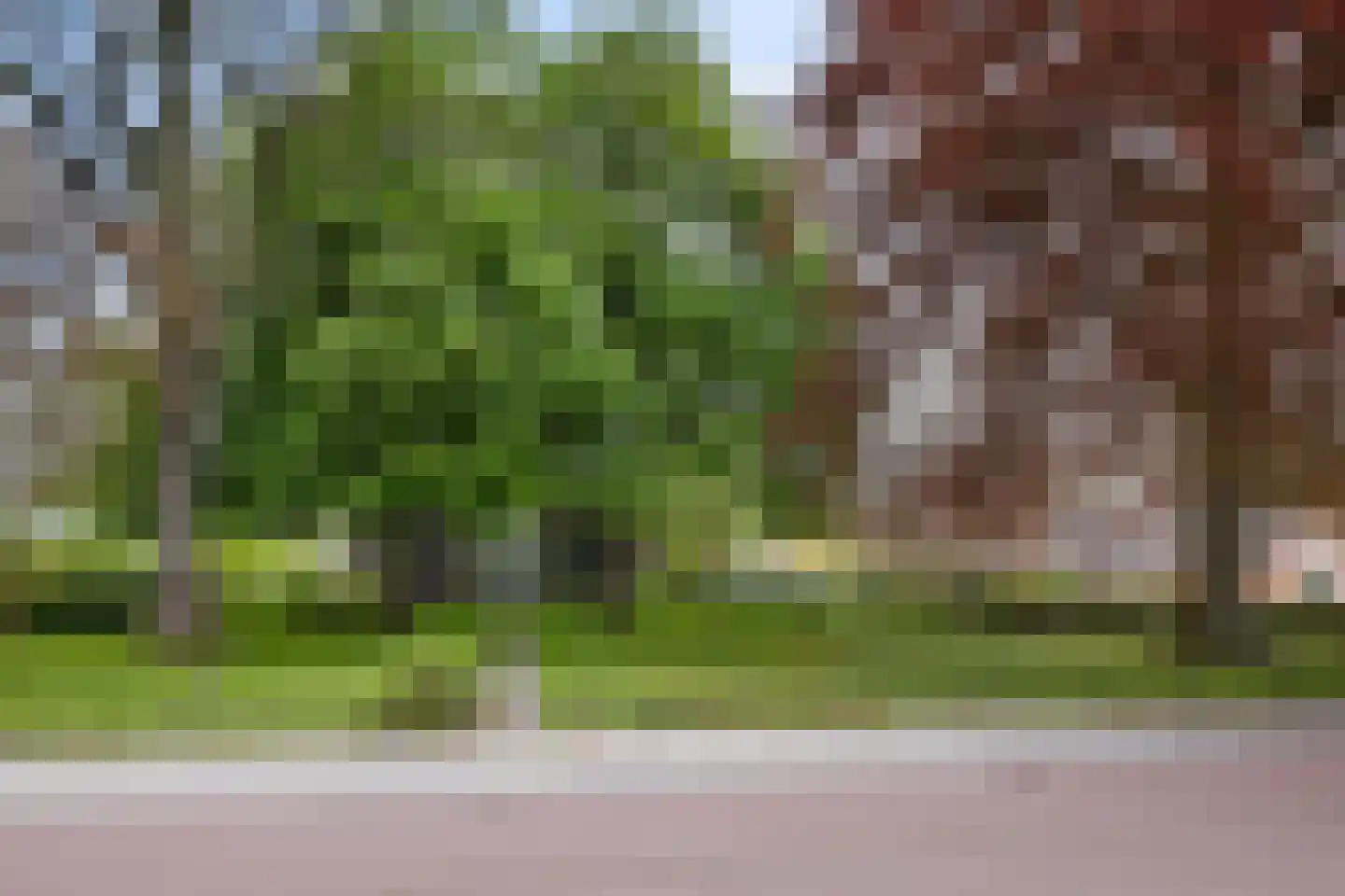 Hoofdweg 54 Hellum thumbnail 8