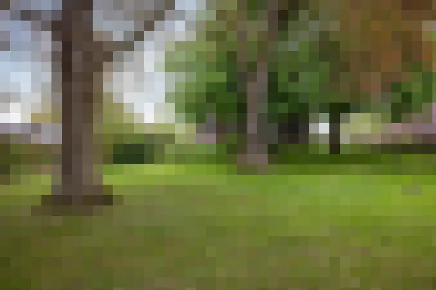 Hoofdweg 54 Hellum thumbnail 9