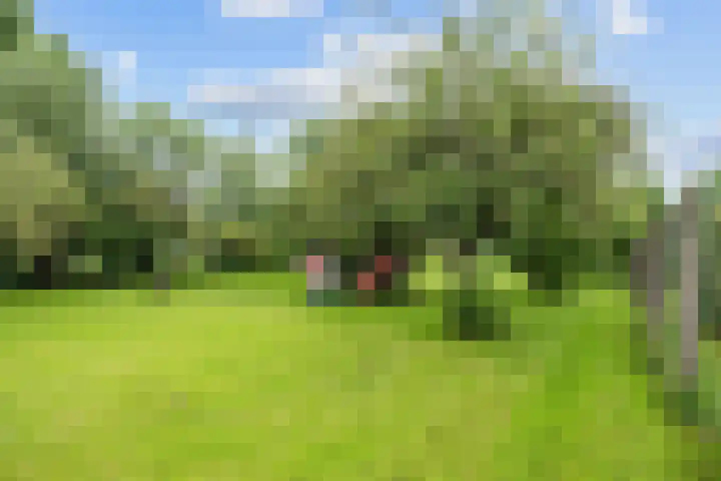 Hoofdweg 54 Holwierde thumbnail 55