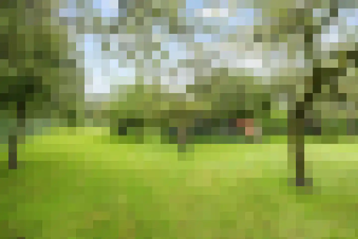 Hoofdweg 54 Holwierde thumbnail 56