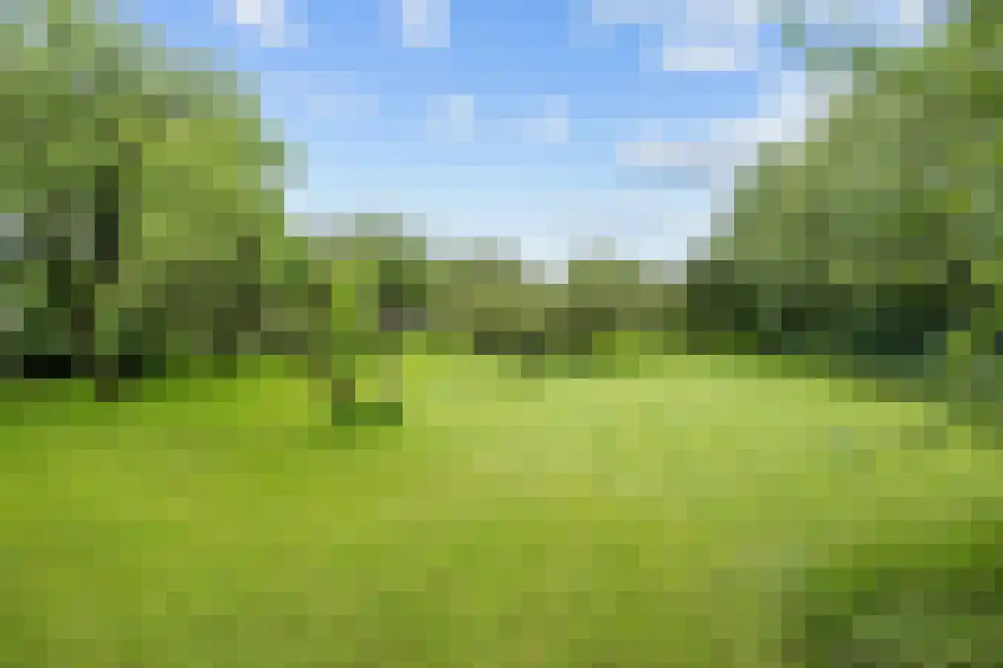 Hoofdweg 54 Holwierde thumbnail 57