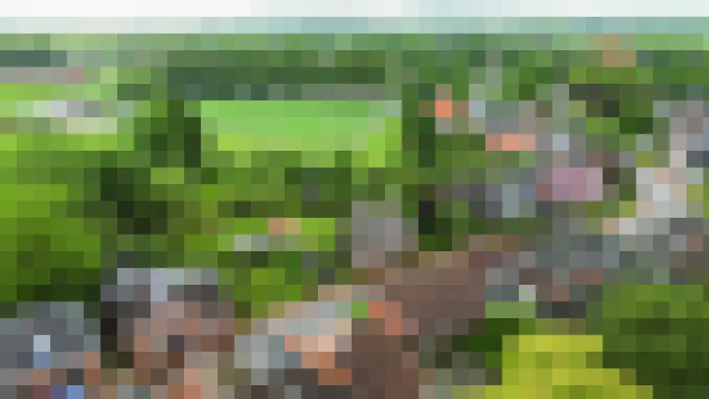 Hoofdweg 54 Holwierde thumbnail 64