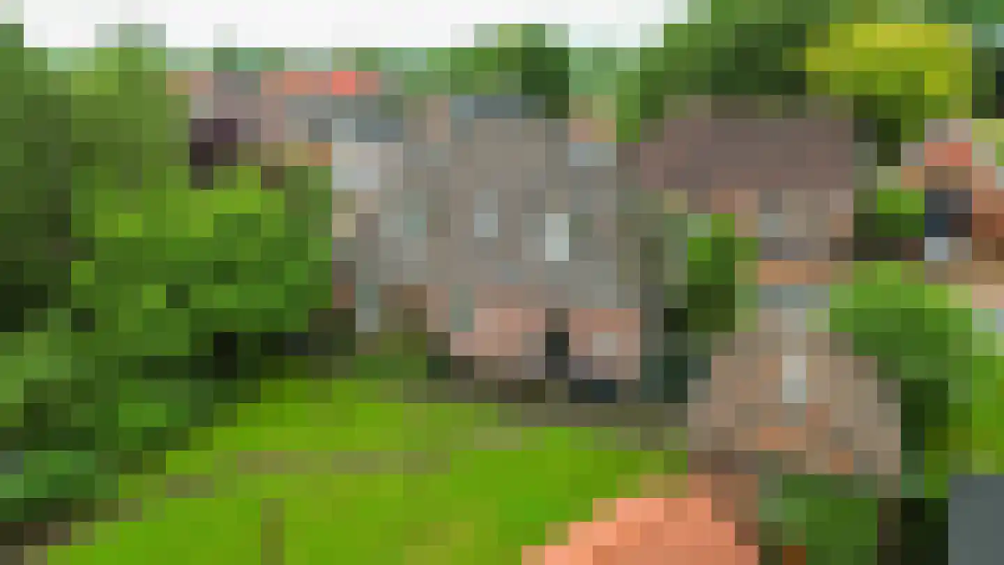 Hoofdweg 54 Holwierde thumbnail 66