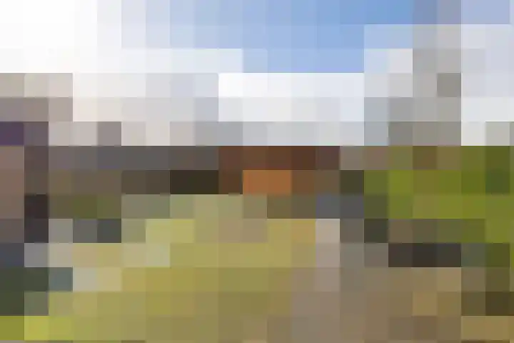 Hoofdweg 55 Blijham thumbnail 33
