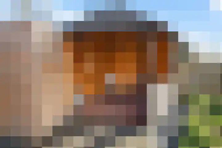 Hoofdweg 55 Blijham thumbnail 35