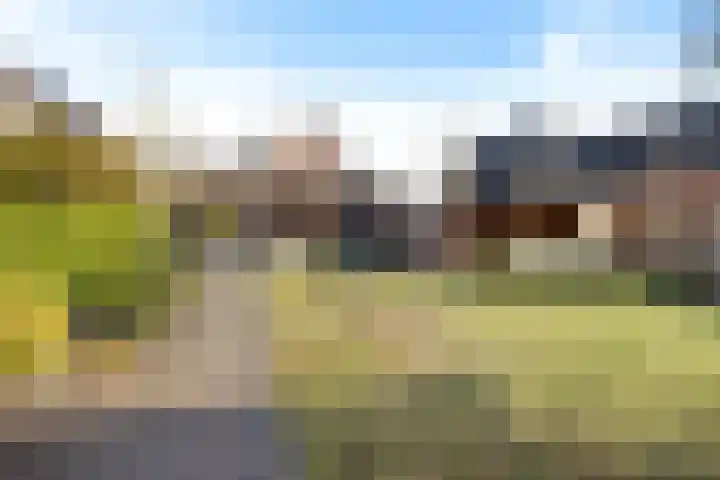 Hoofdweg 55 Blijham thumbnail 36