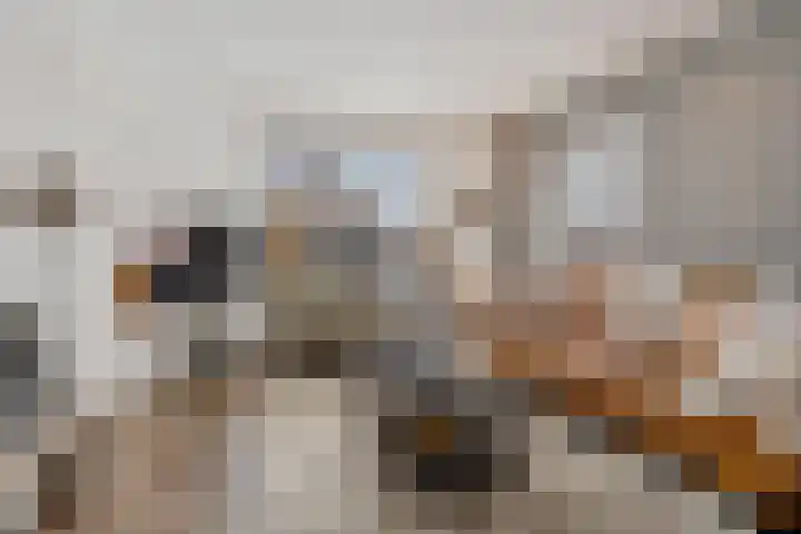 Hoofdweg 55 Blijham thumbnail 6