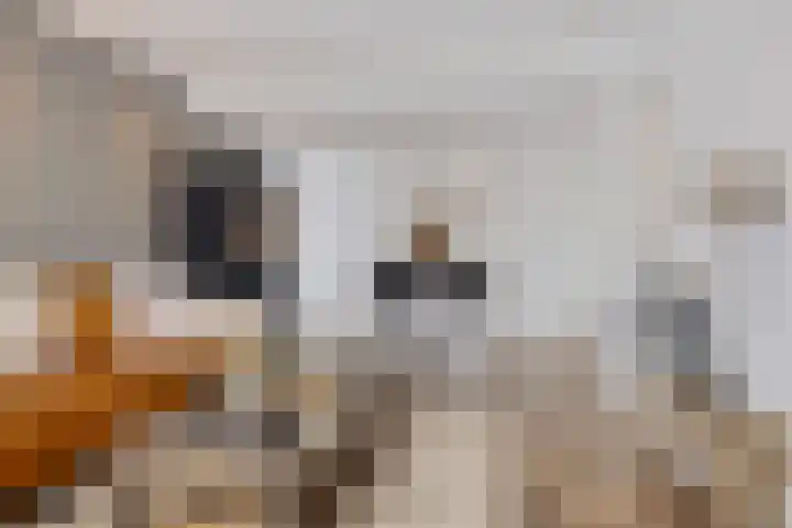 Hoofdweg 55 Blijham thumbnail 8