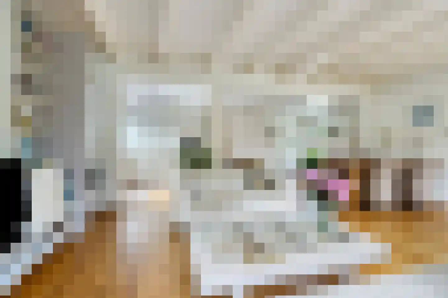 Hoofdweg 55 Elsloo thumbnail 11