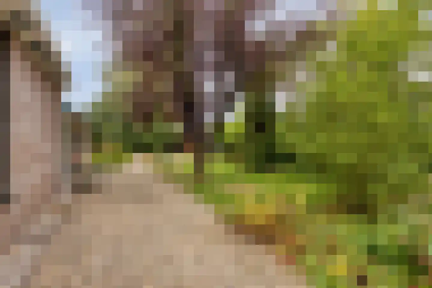Hoofdweg 55 Elsloo thumbnail 32