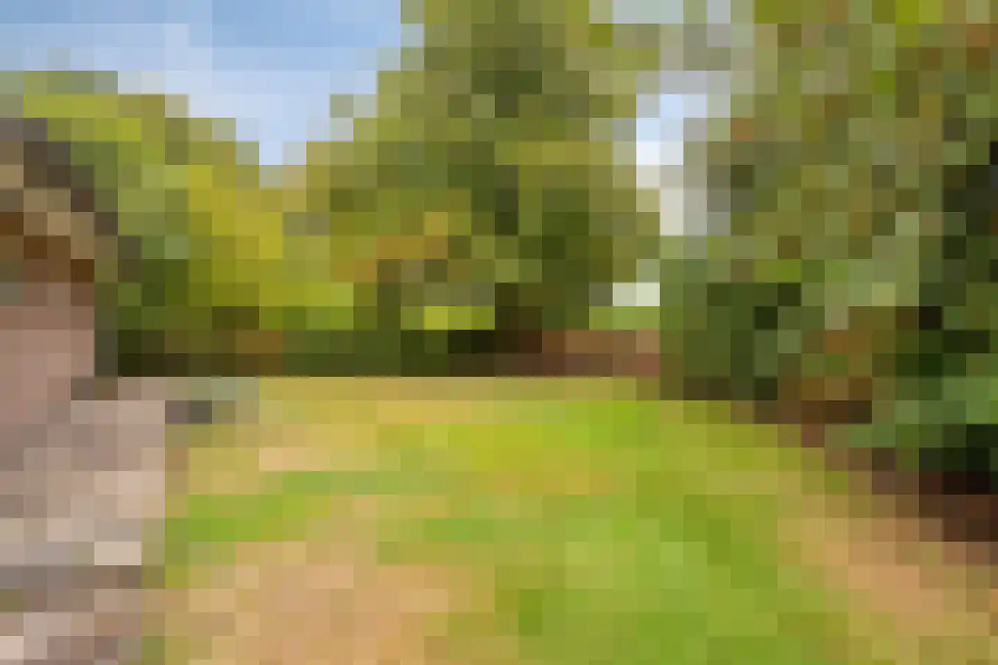 Hoofdweg 55 Elsloo thumbnail 34