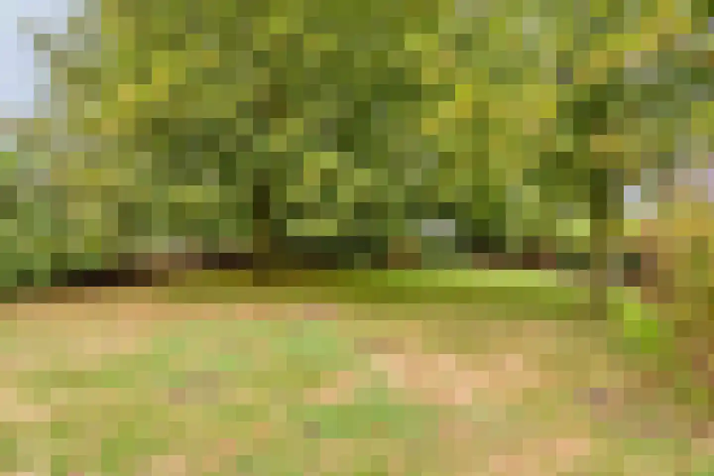 Hoofdweg 55 Elsloo thumbnail 35