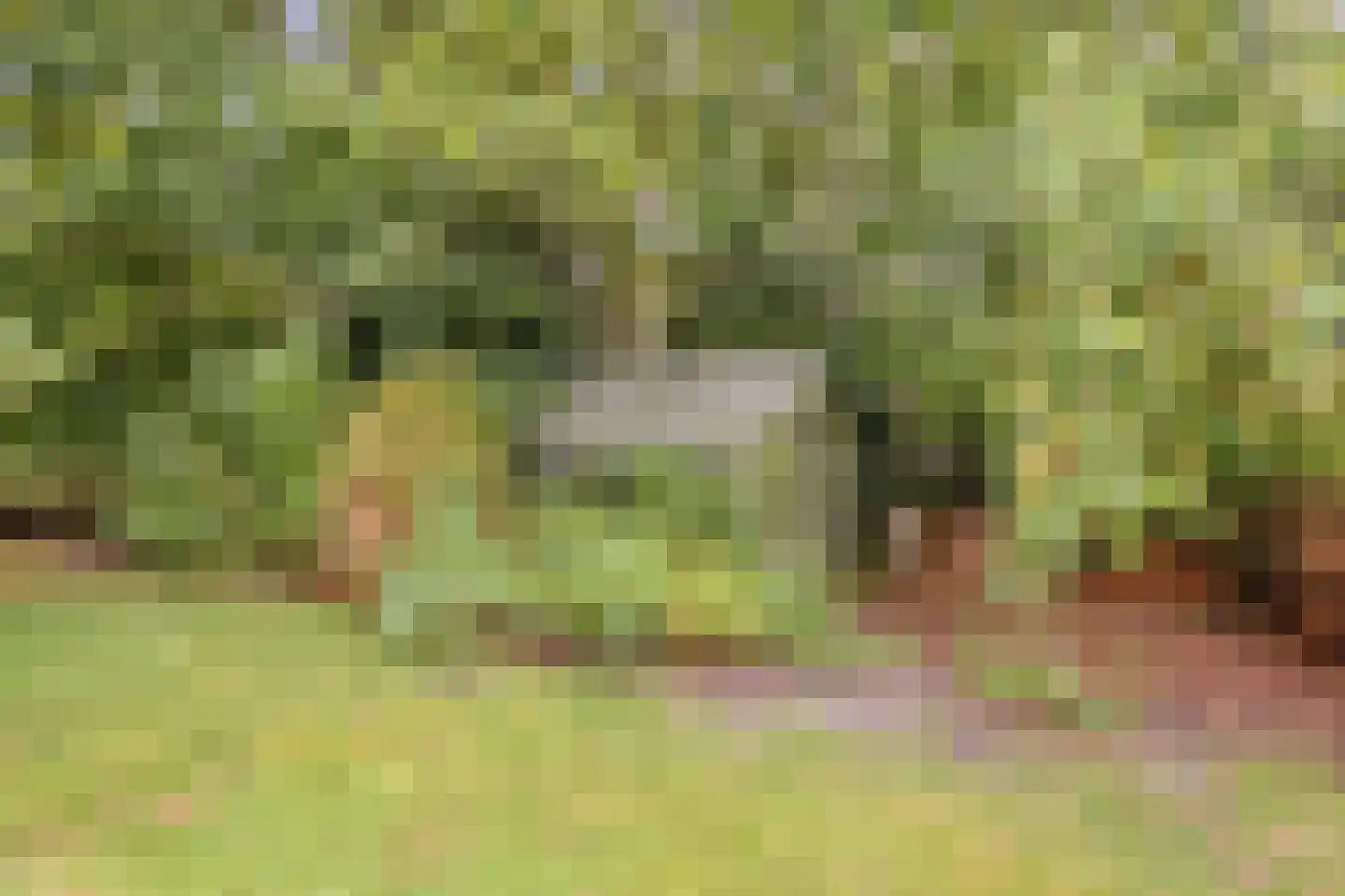 Hoofdweg 55 Elsloo thumbnail 36
