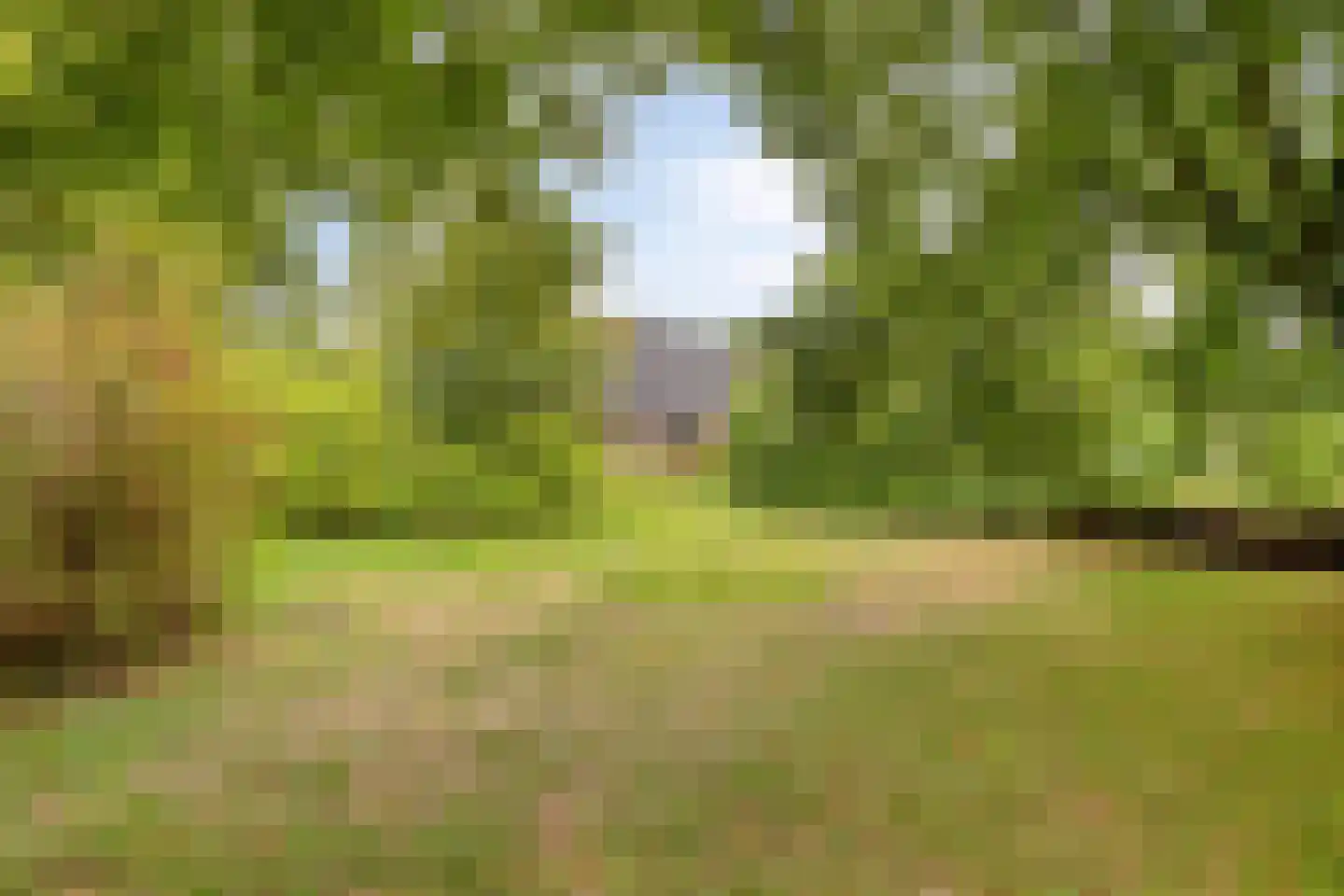 Hoofdweg 55 Elsloo thumbnail 37