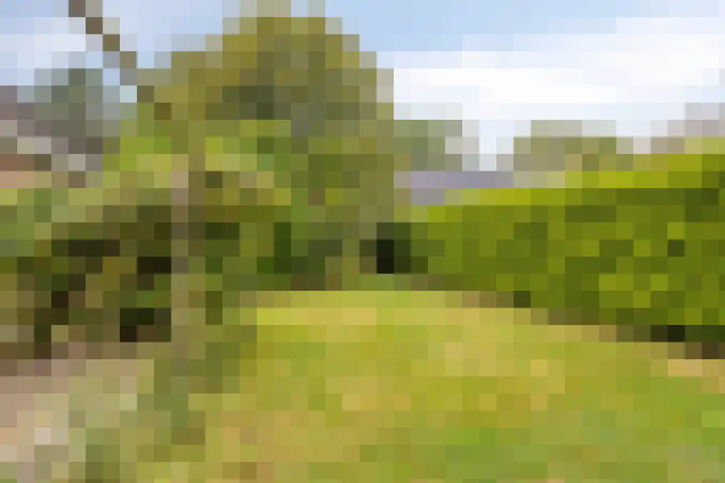 Hoofdweg 55 Elsloo thumbnail 39