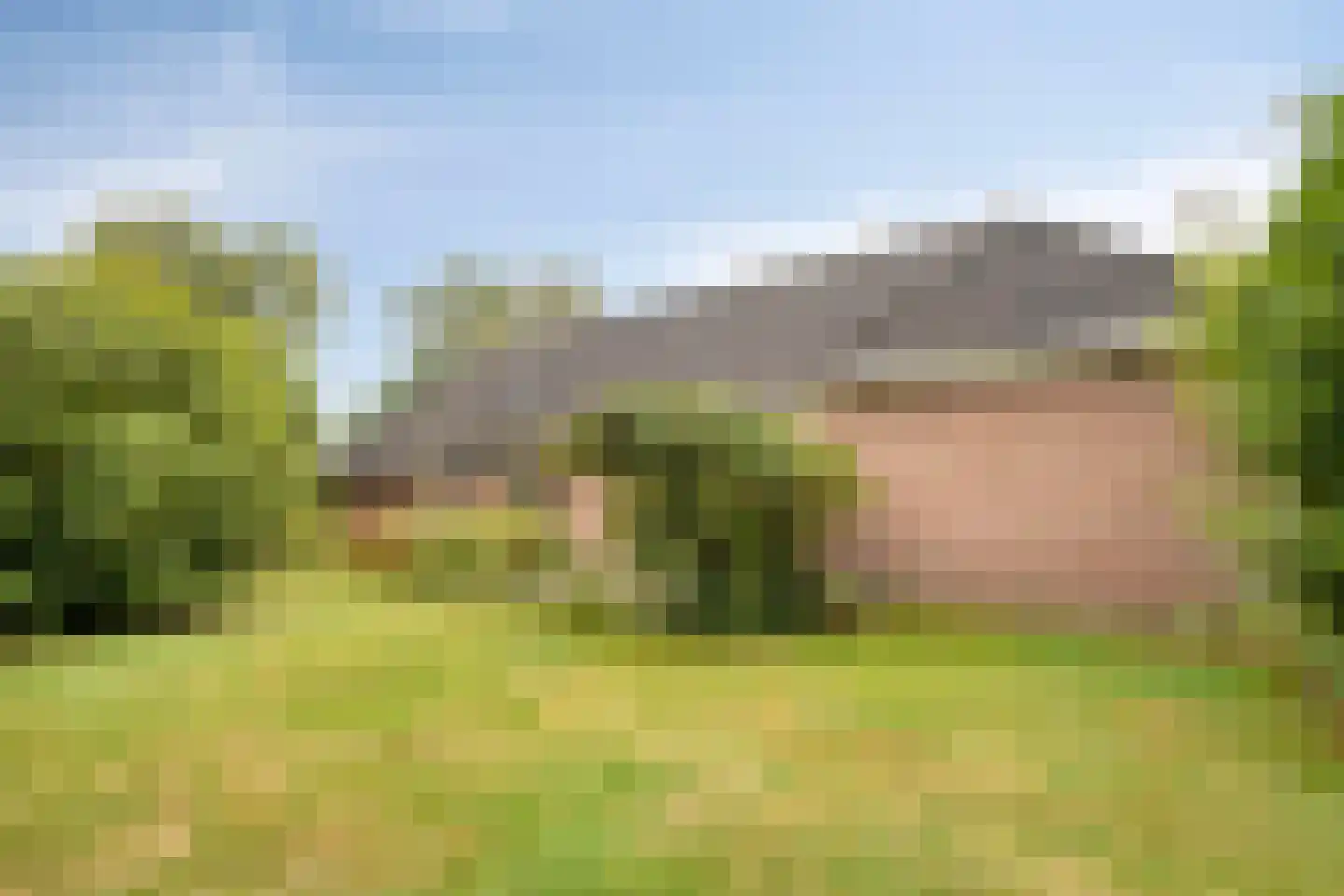Hoofdweg 55 Elsloo thumbnail 41