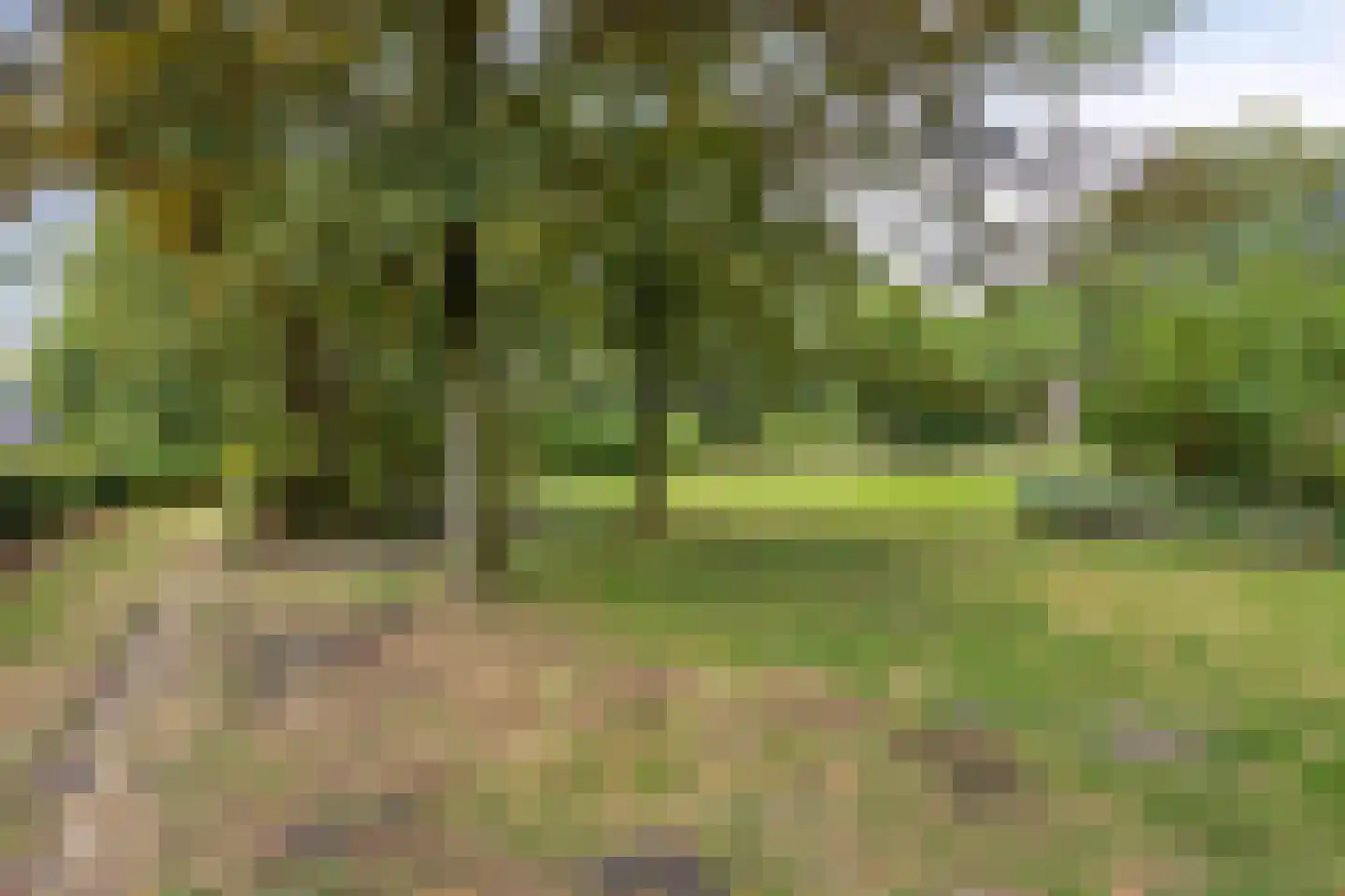 Hoofdweg 55 Elsloo thumbnail 44